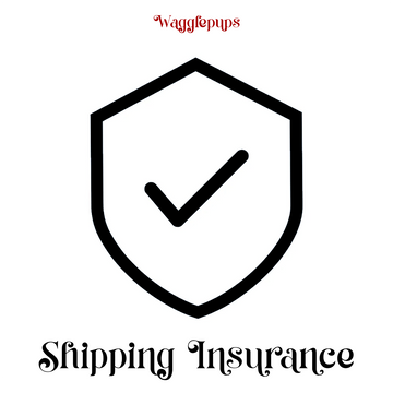 Shipping Insurance